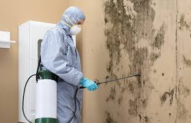 Best Mold Remediation for Healthcare Facilities  in Crimora, VA